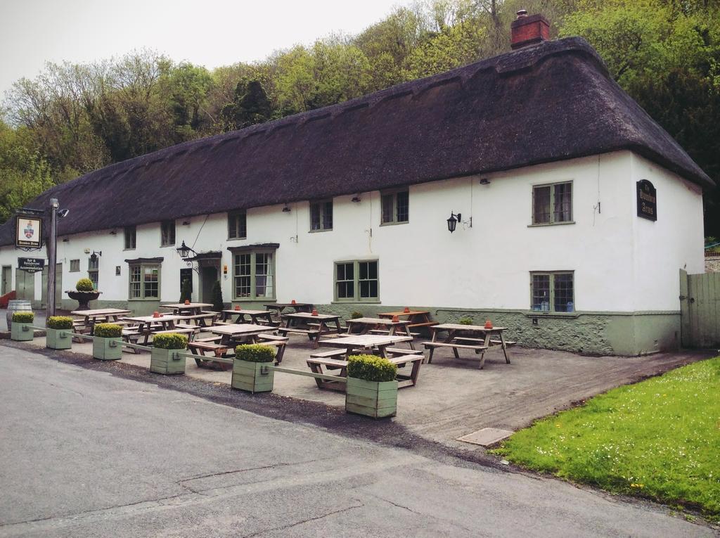 Hotel Hambro Arms Milton Abbas Zewnętrze zdjęcie