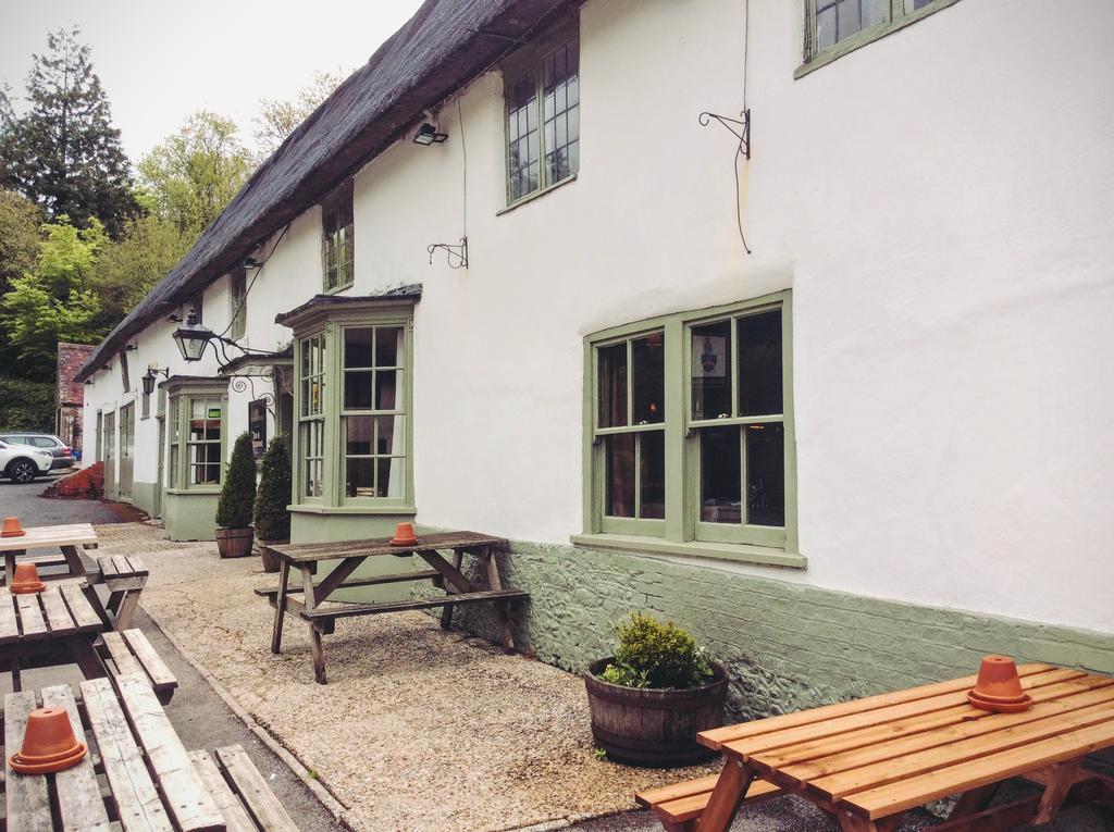 Hotel Hambro Arms Milton Abbas Zewnętrze zdjęcie