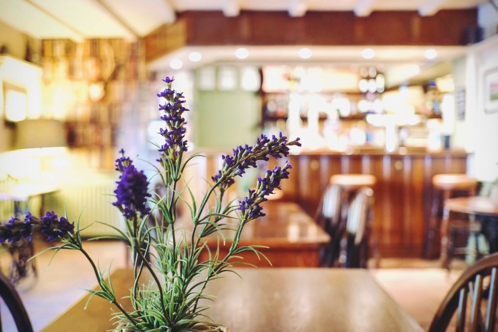 Hotel Hambro Arms Milton Abbas Zewnętrze zdjęcie