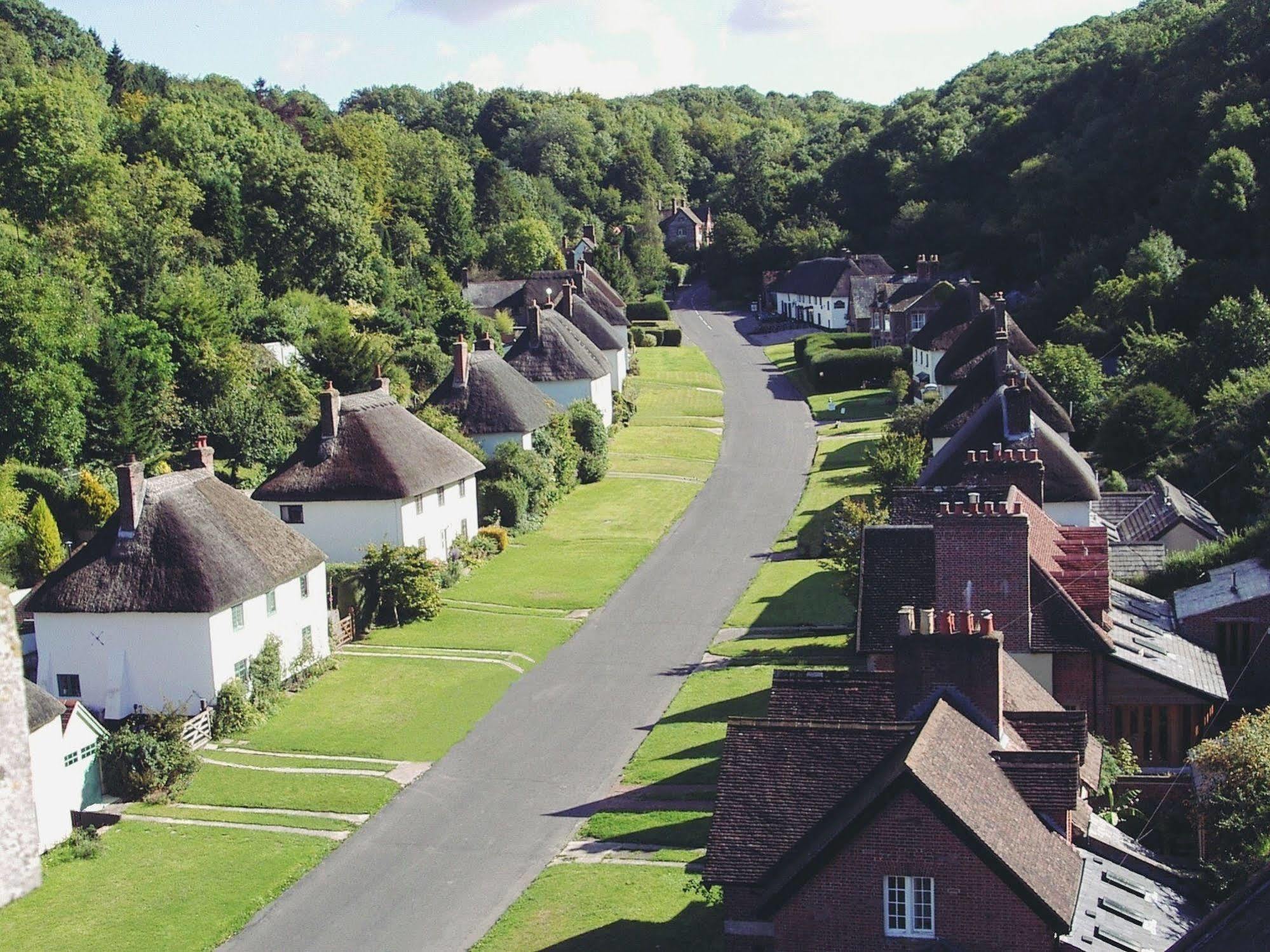 Hotel Hambro Arms Milton Abbas Zewnętrze zdjęcie